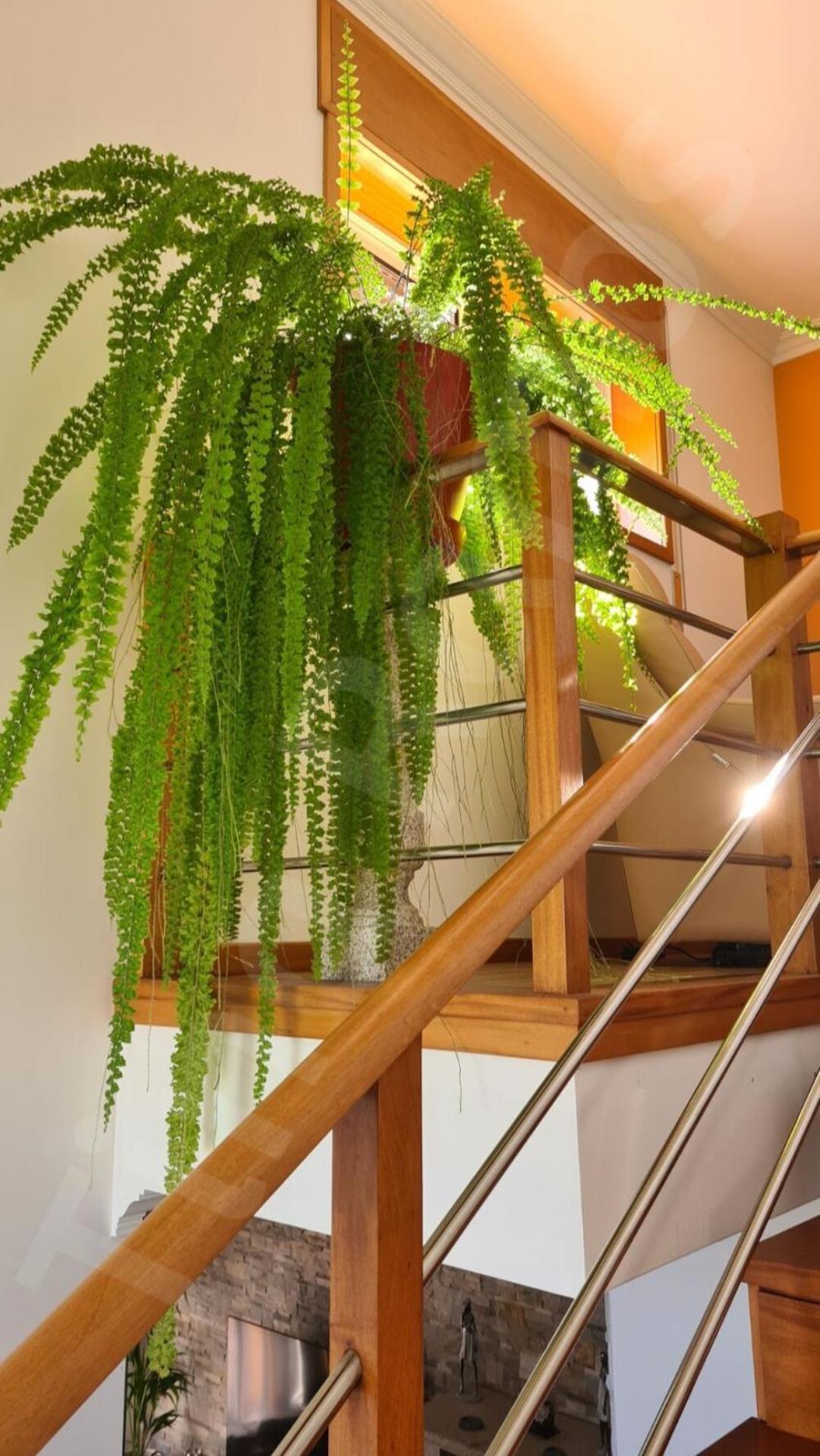 Casa Ramos Villa Póvoa de Varzim Buitenkant foto